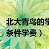 北大青鸟的学费大概是多少钱（北大青鸟入学条件学费）