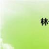 林子轩小说（林子轩）