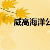 威高海洋公园在哪里（威高海洋公园）