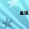 金色闪光英文（金色闪光）