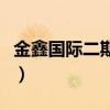 金鑫国际二期房价(金鑫国际小区属于哪个区) 金鑫国际二期房价(金鑫国际小区属于哪个区)