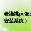 老猫挑pe怎么装系统（老猫桃u盘启动盘如何安装系统）