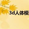 3d人体模型绘画参考（3d人体模型）