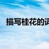 描写桂花的词语四个字（花的词语四个字）