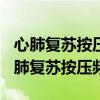 心肺复苏按压频率为什么是100次每分钟（心肺复苏按压频率）