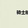骑士精神蔡依林（骑士精神）