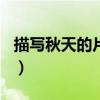 描写秋天的片段作文300字（描写秋天的片段）