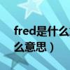 fred是什么意思中文翻译怎么读（fred是什么意思）