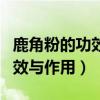 鹿角粉的功效与作用及食用方法（鹿角粉的功效与作用）