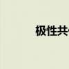极性共价键是什么意思（极性）