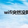 wifi突然没网了怎么办（wifi突然没网了）