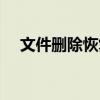 文件删除恢复原理（删除文件数据恢复）