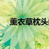 薰衣草枕头的功效与作用（薰衣草枕头）