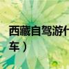 西藏自驾游什么车最好（西藏自驾游最适合的车）