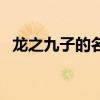 龙之九子的名字寓意及其图片（龙之九子）