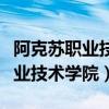 阿克苏职业技术学院地址具体地址（阿克苏职业技术学院）