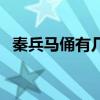 秦兵马俑有几种类型（秦兵马俑有哪些俑）