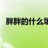 胖胖的什么填空词语一年级（胖胖的什么）