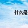 什么是宪政道路（什么是宪政）