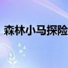 森林小马探险作文300字（小马森林挑战赛）