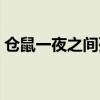 仓鼠一夜之间死了（仓鼠死了一夜能救活吗）