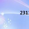 2311是什么意思（2311）