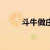 斗牛做庄家洗牌技巧（洗牌技巧）