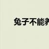 兔子不能养三年吗（兔子不能养三年）