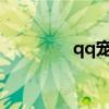 qq宠物2021（qq宠物蛋）