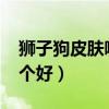 狮子狗皮肤哪个手感好2020（狮子狗皮肤哪个好）