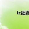 tc细胞百分比偏高（TC细胞）