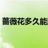 蔷薇花多久能爬满墙（蔷薇花几年能爬满墙）