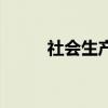 社会生产的生产目的（社会生产）