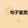 句子鉴赏的答题技巧(赏析怎么写) 句子鉴赏的答题技巧(赏析怎么写)