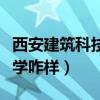 西安建筑科技大学什么学校（西安建筑科技大学咋样）