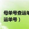 母单号查运单号顺丰快递单号查询（母单号查运单号）