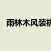 雨林木风装机大师教程（雨林木风装机版）