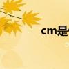 cm是什么职位（cm是什么）