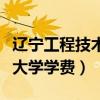 辽宁工程技术大学研究生学费（辽宁工程技术大学学费）
