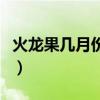 火龙果几月份成熟最好吃（火龙果几月份成熟）