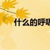 什么的呼吸填空词（什么的呼吸填空）