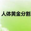人体黄金分割点比例公式（人体黄金分割点）