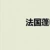 法国蓬帕杜夫人（蓬帕杜夫人）