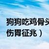 狗狗吃鸡骨头划破肠道的症状（狗吃鸡骨头划伤胃征兆）