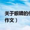 关于眼睛的作文500字到600字（关于眼睛的作文）
