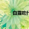 白露吃什么补身体（白露吃什么）