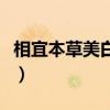 相宜本草美白面膜安全吗（相宜本草美白面膜）