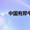 中国有犀牛吗历史吧（中国有犀牛吗）