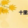 十里埋伏乐曲（十里埋伏）