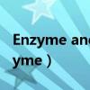 Enzyme and Microbial Technology（enzyme）